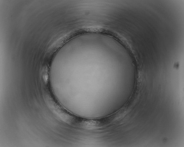 X0000115790069200911271236