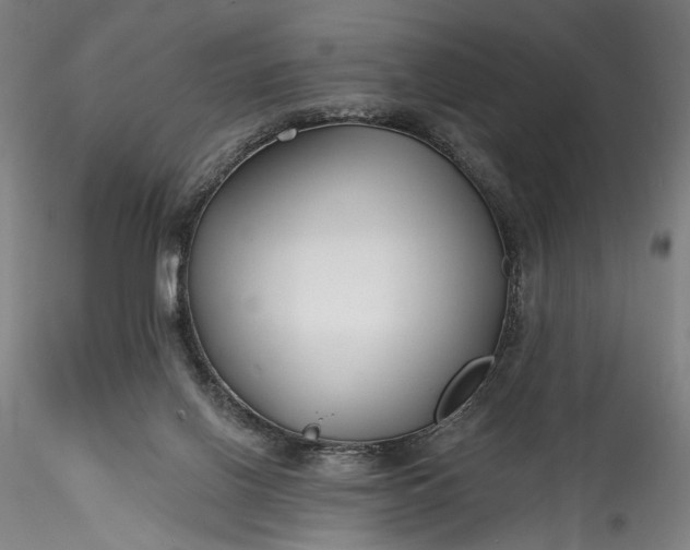 X0000115790070200911271236