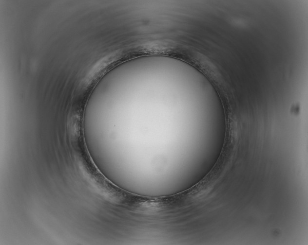 X0000115790071200911271236