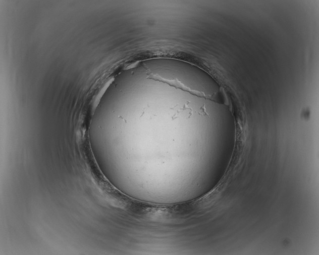 X0000115790074200911271236