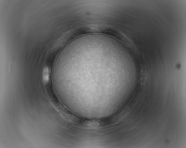 X0000115790075200911271236