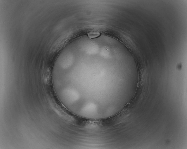 X0000115790077200911271236