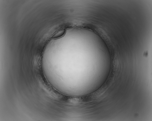 X0000115790079200911271236