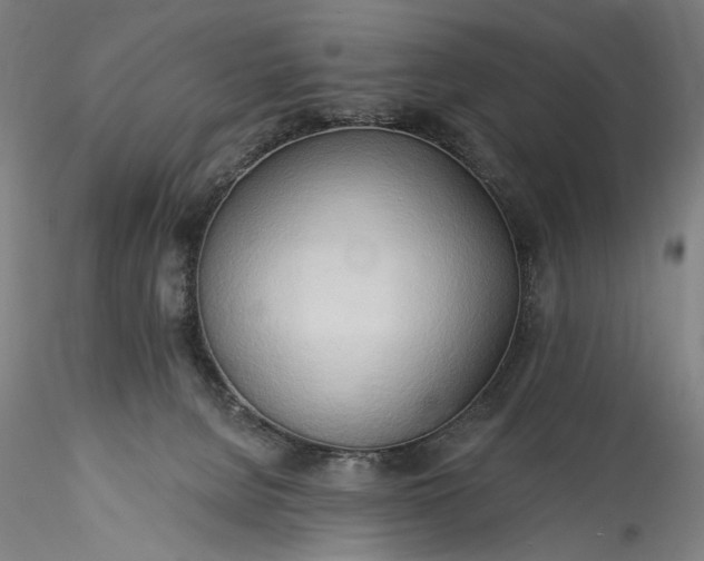 X0000115790080200911271237