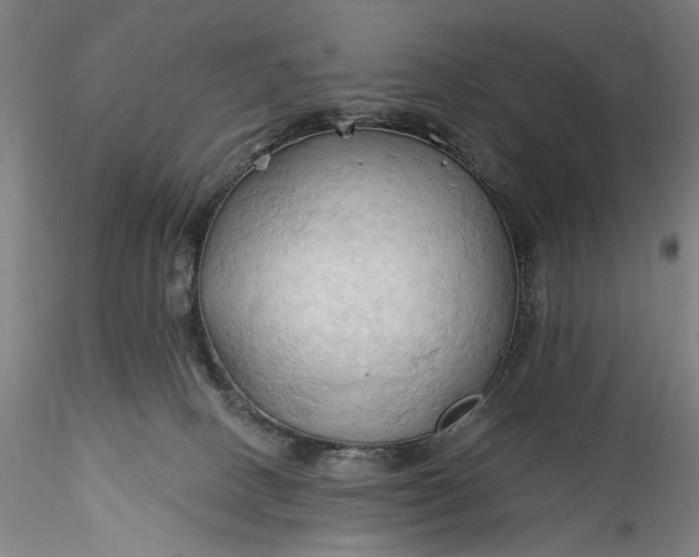 X0000115790082200911271237