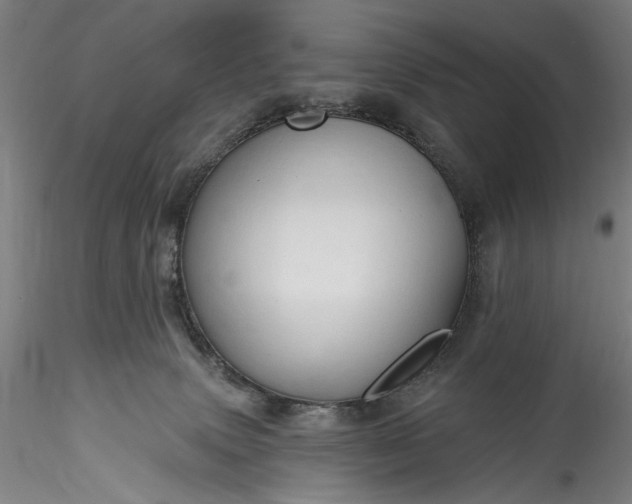 X0000115790083200911271237