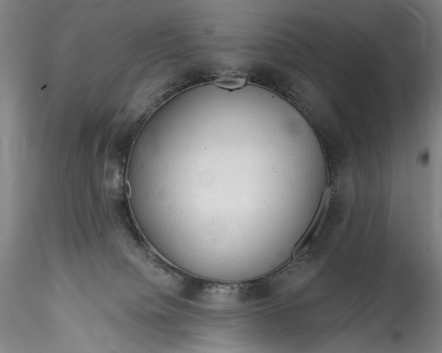 X0000115790084200911271237