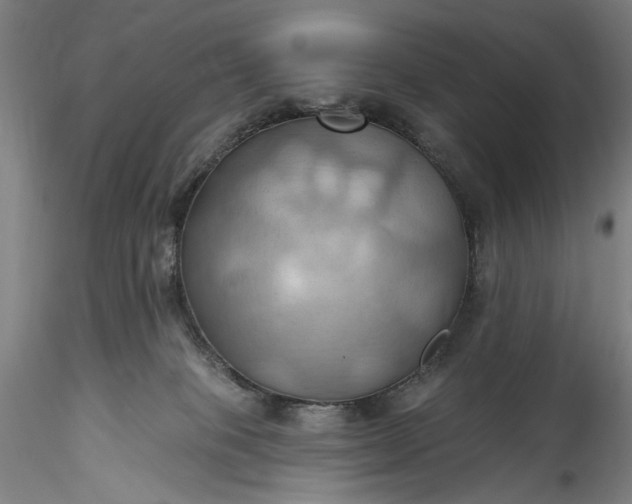 X0000115790085200911271237