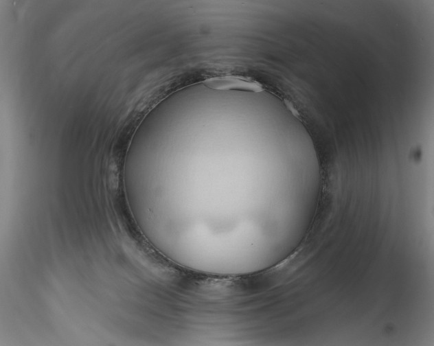 X0000115790086200911271237