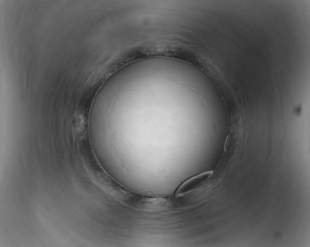 X0000115790087200911271237