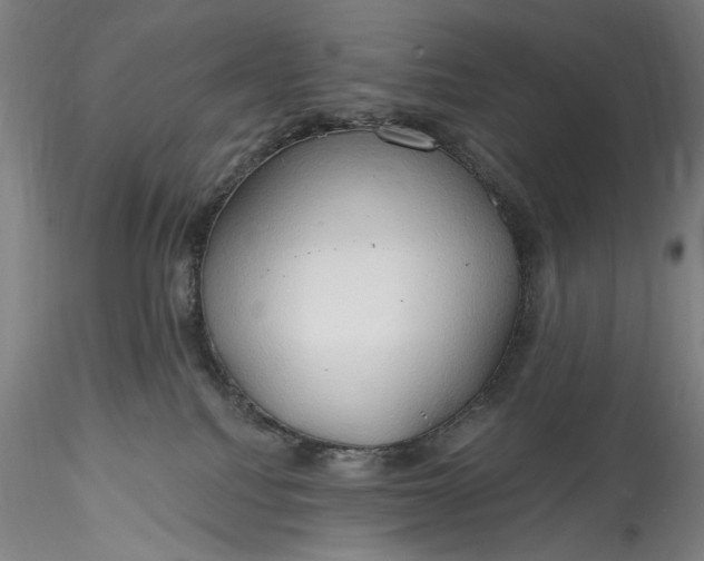 X0000115790088200911271237