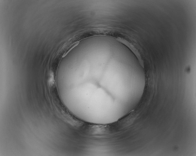 X0000115790089200911271237