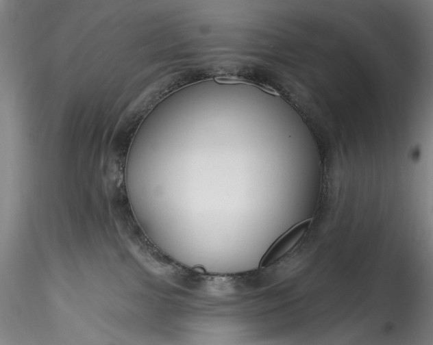 X0000115790091200911271237