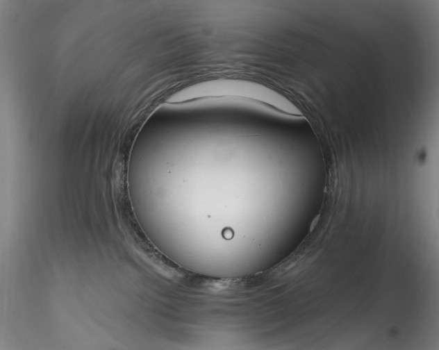 X0000115790092200911271237