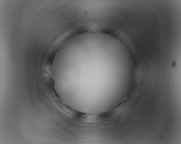 X0000115790093200911271237