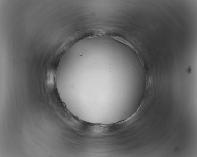 X0000115790094200911271237