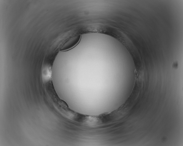 X0000115790095200911271237