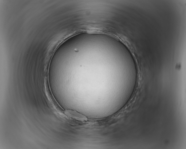 X0000115790097200911271236