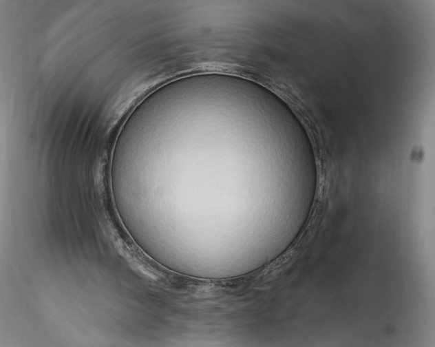 X0000115790098200911271236