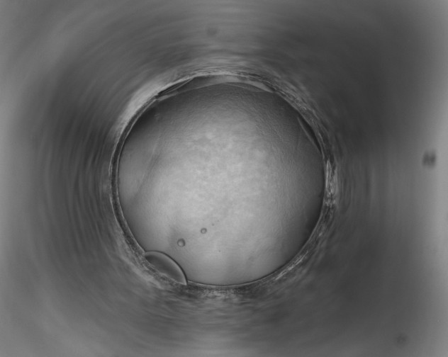 X0000115790099200911271236