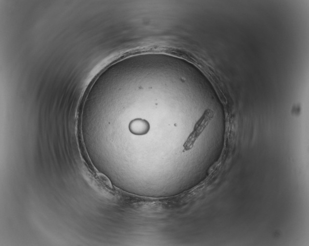 X0000115790100200911271236