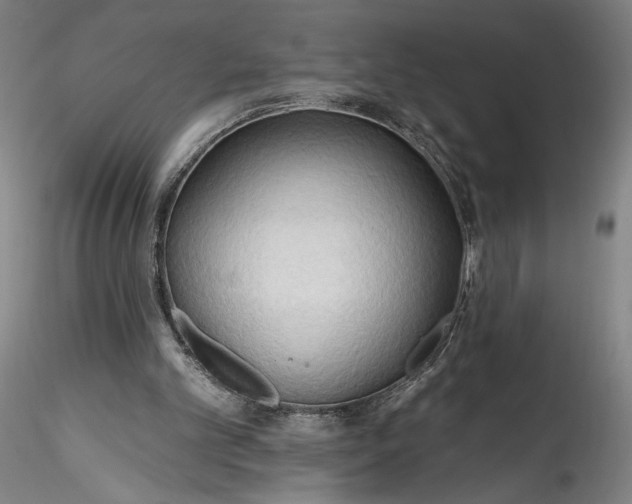 X0000115790101200911271236