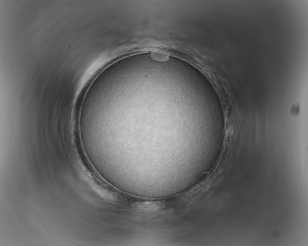 X0000115790102200911271236