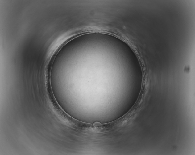 X0000115790103200911271236