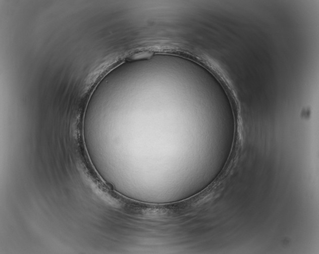 X0000115790105200911271236