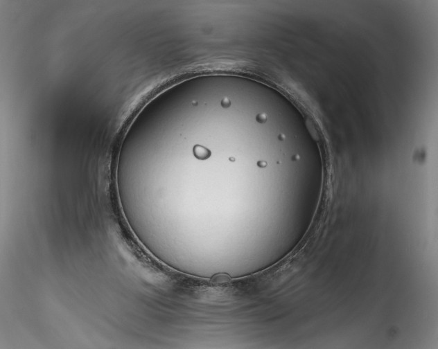 X0000115790107200911271236