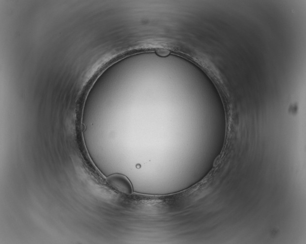 X0000115790108200911271236