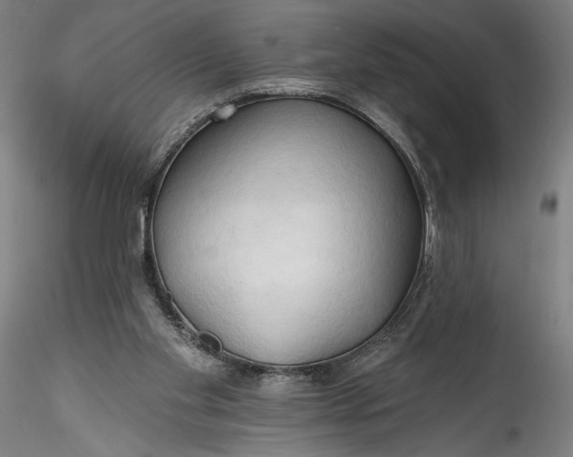 X0000115790109200911271236