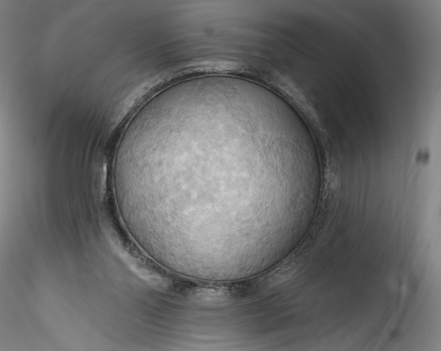 X0000115790110200911271236