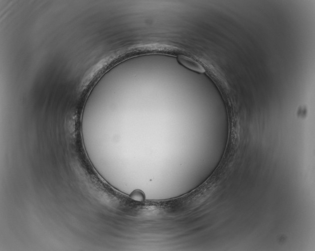 X0000115790111200911271236