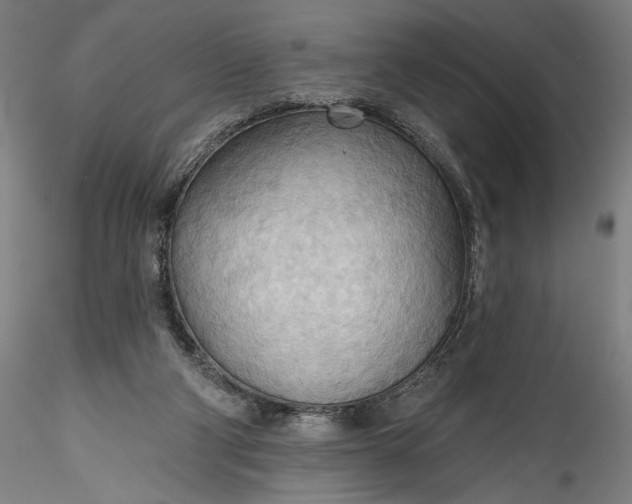 X0000115790114200911271236