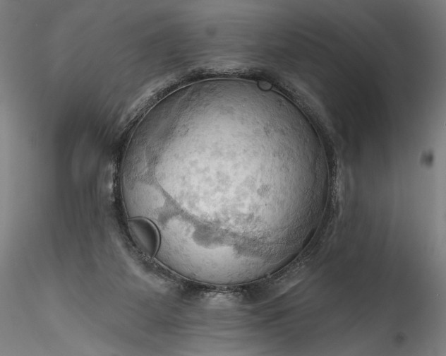 X0000115790115200911271236