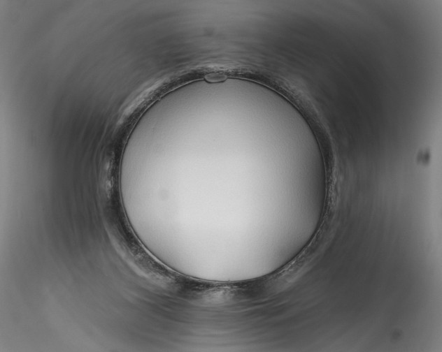 X0000115790116200911271236