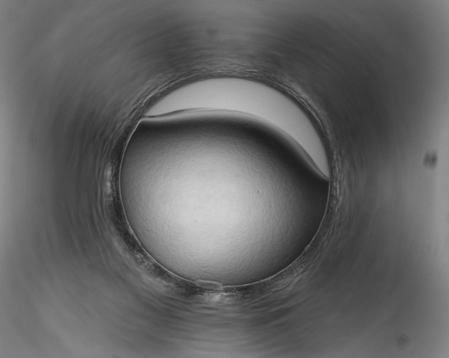 X0000115790117200911271235