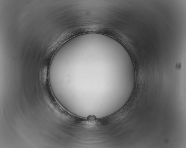 X0000115790118200911271235