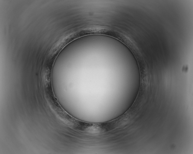 X0000115790119200911271235