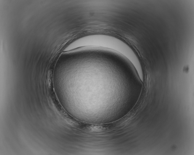 X0000115790121200911271235