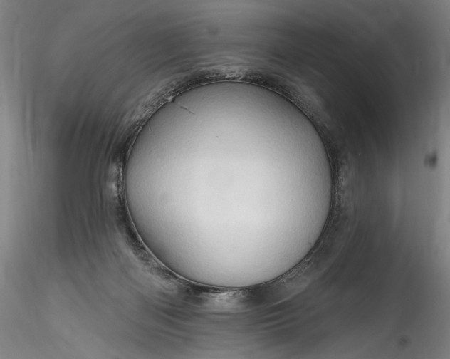 X0000115790122200911271235