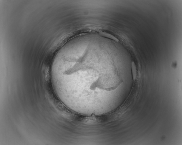 X0000115790123200911271235