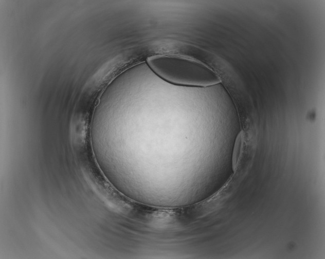 X0000115790124200911271235