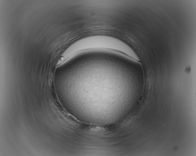 X0000115790125200911271235