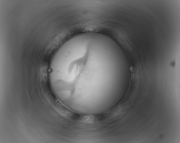 X0000115790127200911271235