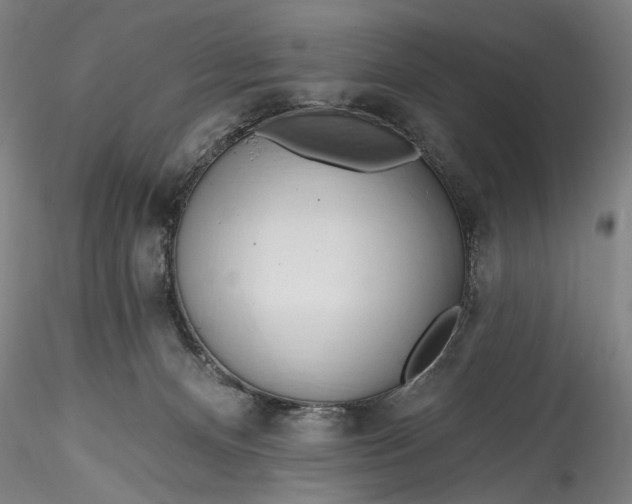 X0000115790128200911271235