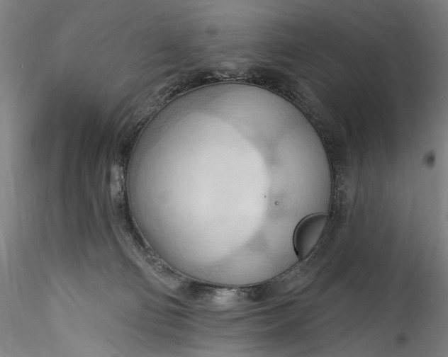 X0000115790130200911271235