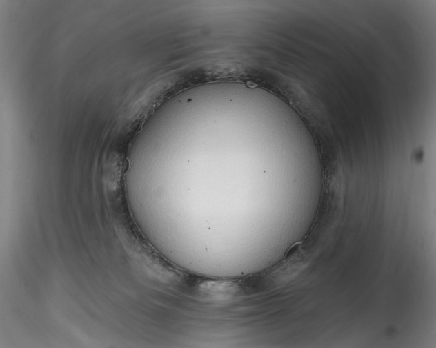 X0000115790133200911271235