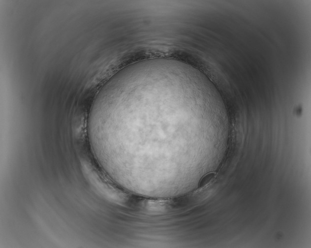 X0000115790134200911271235